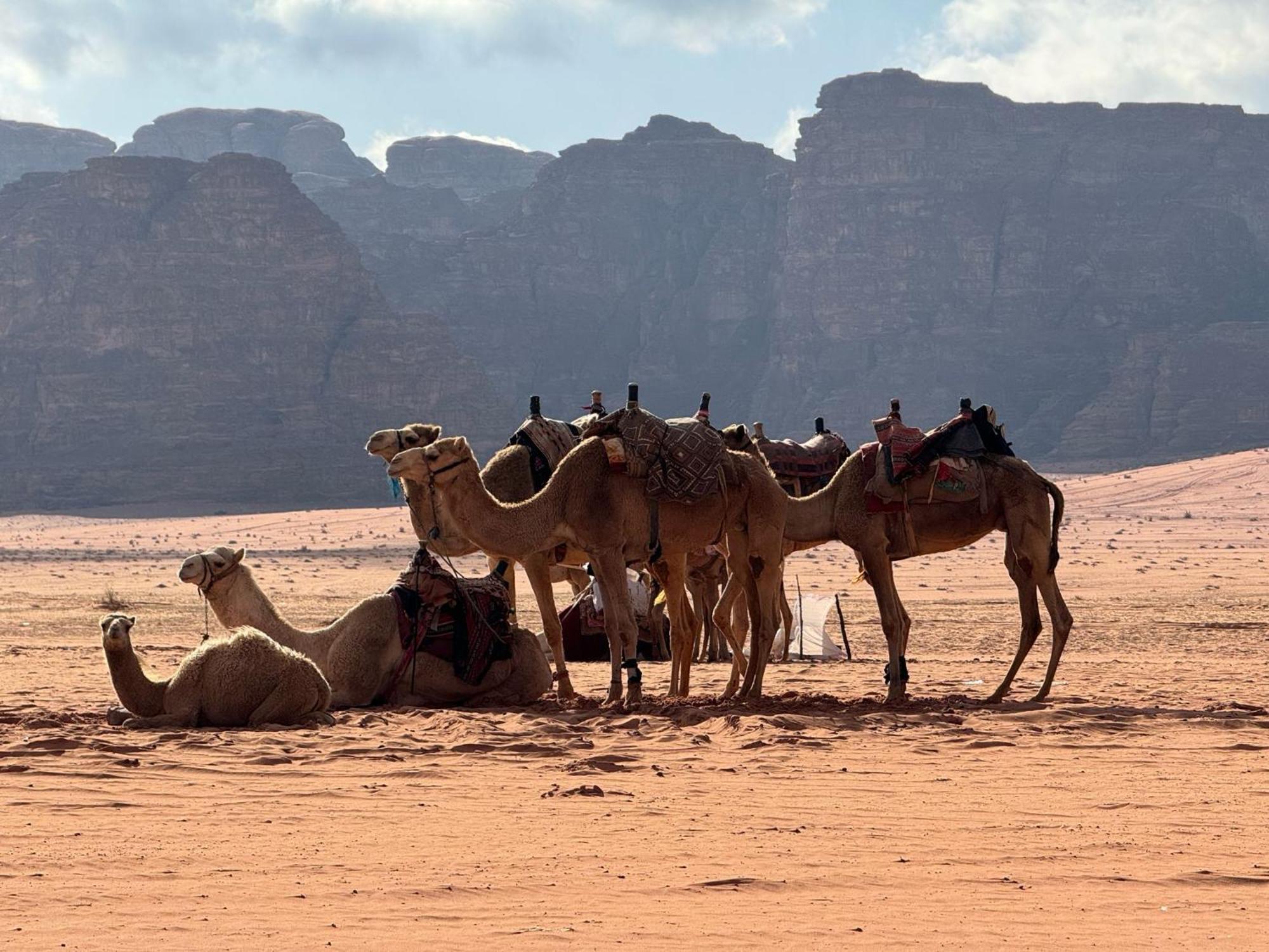 Sunrise Luxury Camp Hotel Wadi Rum Exterior foto